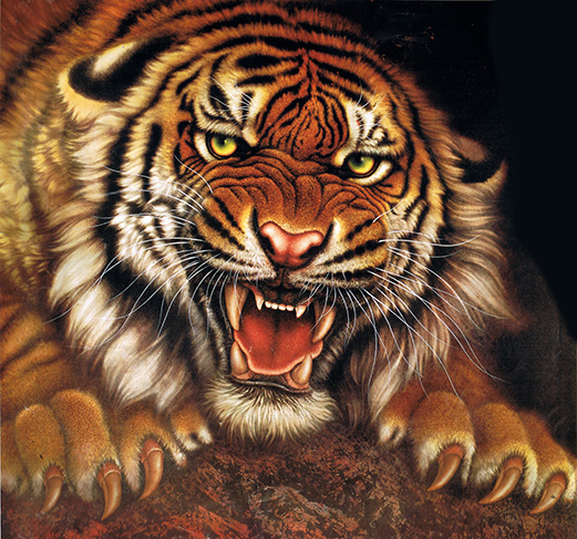 Mơ thấy hổ có phải chăng nguy hiểm rình rập?